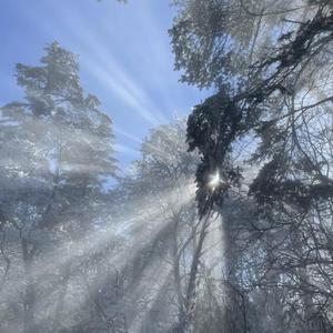 看男生和女生操逼软件
