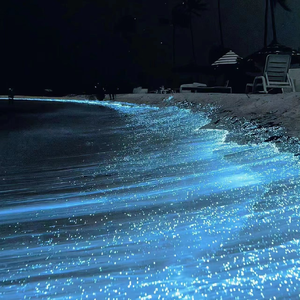 看男生和女生操逼软件
