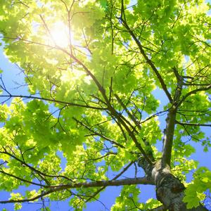 看男生和女生操逼软件
